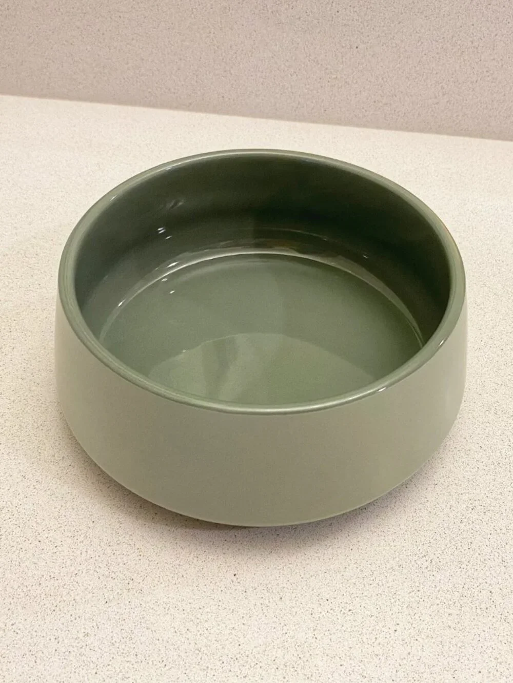 🌟 NEW Reddy Large Green Angular Ceramic Dog Bowl - 5.5 Cups NWT